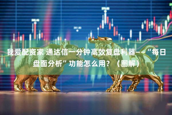 我爱配资家 通达信一分钟高效复盘利器——“每日盘面分析”功能怎么用？（图解）